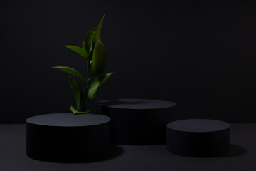Obraz na płótnie Canvas Black abstract stage with three circle podiums mockup, bright tropical green leaves, template for presentation cosmetic products, goods, design, advertising, sale, in modern summer black friday style.