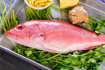 Vibrant Close-Up: Fresh Raw Red Snapper Fish with Zesty Lemon Accent in 4K