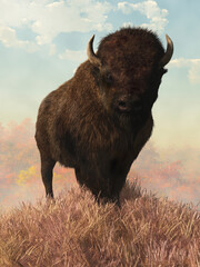 Under a bright autumn sky, a brown buffalo stands on a grassy hilltop looking at you. Fall trees fade into the haze behind the bison, a symbol of the American Wild West,  3D Rendering
