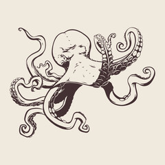 Octopus on beige background in hand draw style for print and design. Vector illustration.