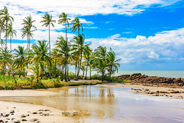 Small deserted beach hidden between rocks and coconut trees in the town of Serra Grande on the coast of Bahia, northeastern Brazil