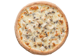 Pizza with mushrooms and chicken with white cream sauce and melted cheese. View from above - 617139667