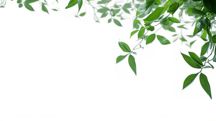 Lush Green Leaves Falling Frame Border Illustration White Background. A.I. Generated.