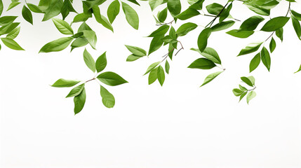 Lush Green Leaves Falling Frame Border Illustration White Background. A.I. Generated.