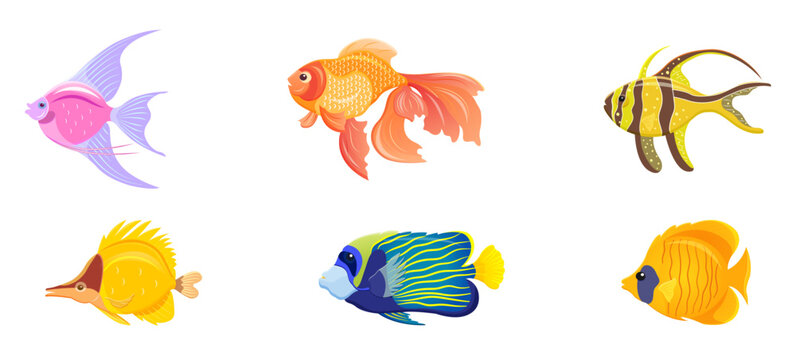 Tropical fish on white background. Set of exotic sea creatures. Bright aquarium animals