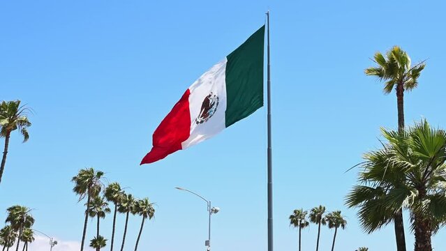 The flag of Mexico flutters in the wind against a blue sky and green palm trees. The national symbol of the country of Central America in the central zone of Ensenada, moving away. Close up