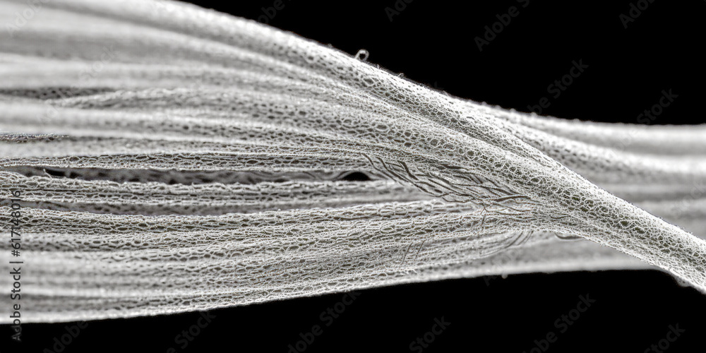 Poster a close-up of a violins strings - generative ai