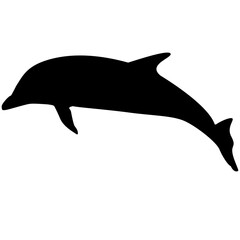 dolphin silhouette isolated on white