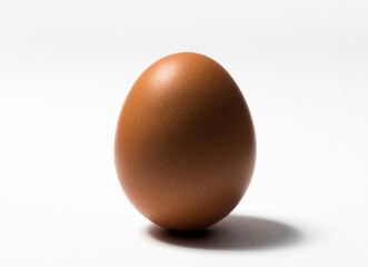 Closeup of single egg on white background