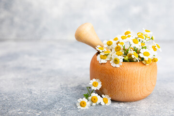 Obraz na płótnie Canvas Mortar with a bouquet of chamomile flowers on a marble background. The concept of natural herbal organic cosmetics, homeopathic cosmetology. Medicinal herbs. Place for text. copy space.