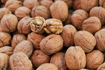Close up organic whole unopened and opened walnut shells.  Unopened walnut shell background. Studio shot of unopened walnut. Selective focus area.