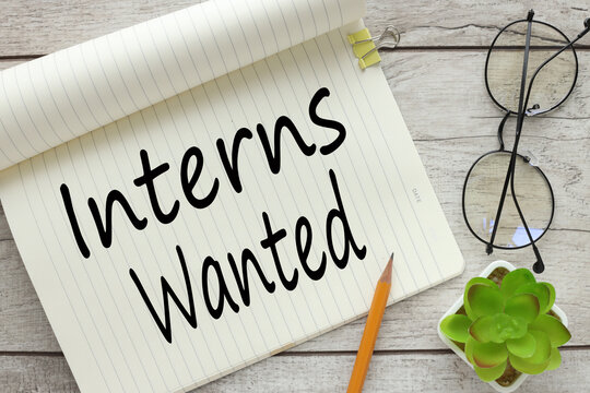 Interns Wanted large notepad with text near a plant in pots and glasses
