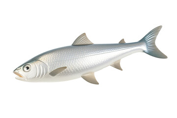 Fototapeta premium Silver Streak fish. Transparent background. generative AI