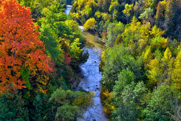 River and colourful forest in autumn. Aerial view of wildlife