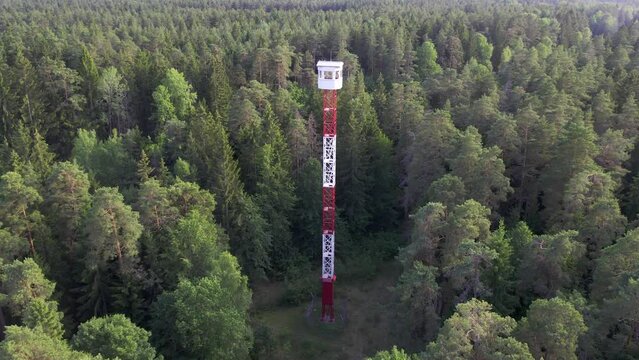 Fire tower between forests