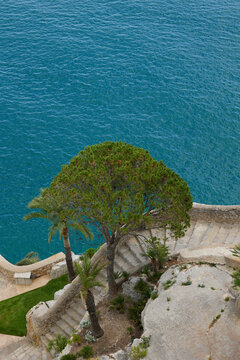 Stone stairs leading down to the garden at the medieval castle of Peniscula.