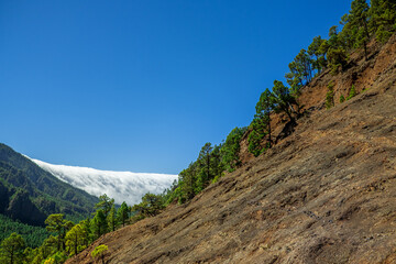 Fototapeta na wymiar Clouds move over the mountain slope of Cumbre Nueva and flow into the valley like a waterfall, La Palma, Canary, Spain, Europe