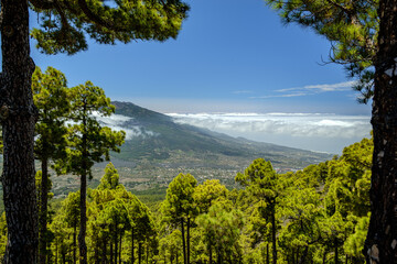 Clouds move over the mountain slope of Cumbre Nueva and flow into the valley like a waterfall, La Palma, Canary, Spain, Europe