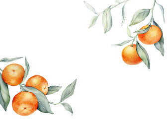 Frame with Orange Fruits. Hand drawn watercolor illustration of square Frame with citrus food and green leaves on isolated background. Border with tropical mandarins for labels or sticker. Postcard