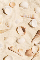 Plenty of seashells on clear pure neutral beige tropical sand. Top view background.