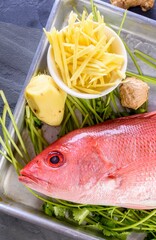 Vibrant Close-Up: Fresh Raw Red Snapper Fish with Zesty Lemon Accent in 4K