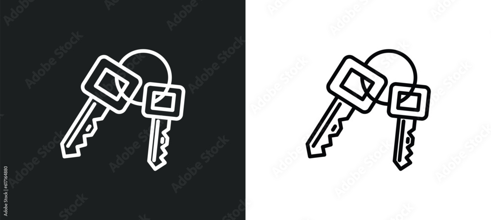 Poster key ring with two keys line icon in white and black colors. key ring with two keys flat vector icon 