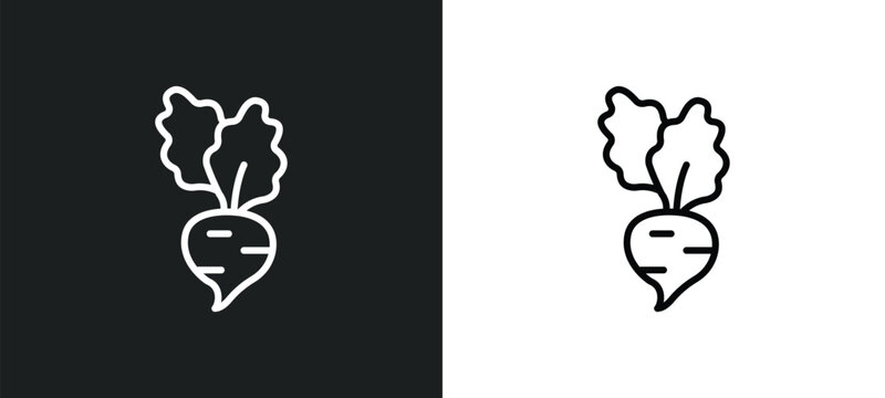 beet line icon in white and black colors. beet flat vector icon from beet collection for web, mobile apps and ui.