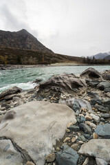 View of river Katun in Altay mountains in the autumn