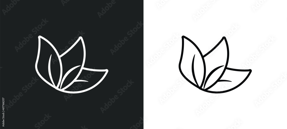 Wall mural leaf line icon in white and black colors. leaf flat vector icon from leaf collection for web, mobile