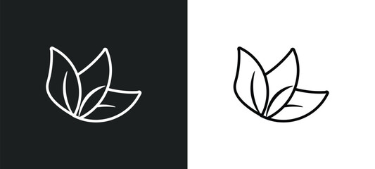 Fototapeta premium leaf line icon in white and black colors. leaf flat vector icon from leaf collection for web, mobile apps and ui.