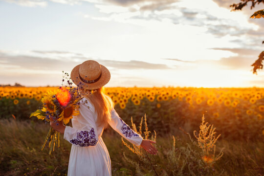Back view of woman walking by blooming sunflower field at sunset with bouquet of flowers. Peace and freedom