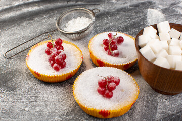 Obraz na płótnie Canvas front close view delicious cranberry cakes baked and yummy with red cranberries on top grey background cake biscuit sugar powder