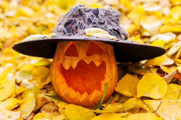 Halloween pumpkin in witch hat on yellow leaves in the park or forest in autumn
