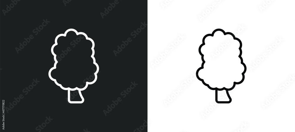 Poster sassafras tree line icon in white and black colors. sassafras tree flat vector icon from sassafras t