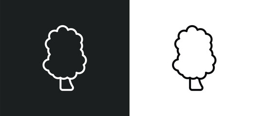 sassafras tree line icon in white and black colors. sassafras tree flat vector icon from sassafras tree collection for web, mobile apps and ui.