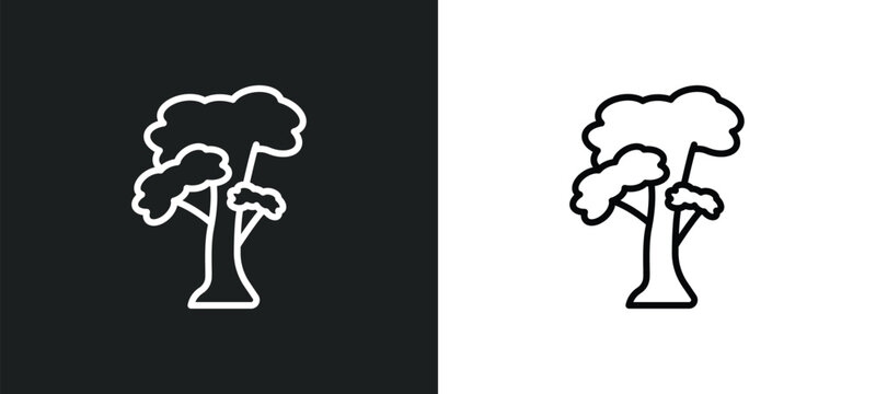 slippery elm tree line icon in white and black colors. slippery elm tree flat vector icon from slippery elm tree collection for web, mobile apps and ui.