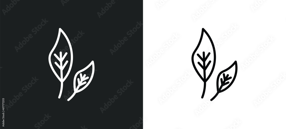 Poster ovate line icon in white and black colors. ovate flat vector icon from ovate collection for web, mob