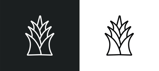 yucca line icon in white and black colors. yucca flat vector icon from yucca collection for web, mobile apps and ui. - obrazy, fototapety, plakaty