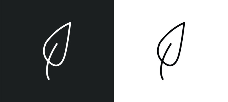 acicular line icon in white and black colors. acicular flat vector icon from acicular collection for web, mobile apps and ui.