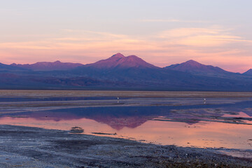 Fototapeta na wymiar View of Chaxa lagoon at sunset