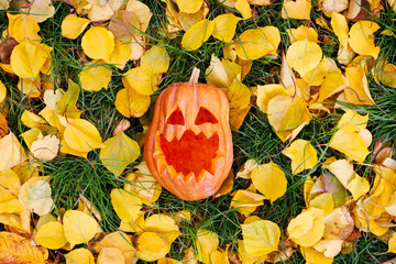 Halloween pumpkin on yellow leaves in the park or forest in autumn
