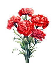 Bouquet of red carnations isolated on white background in watercolor style. Generative AI.