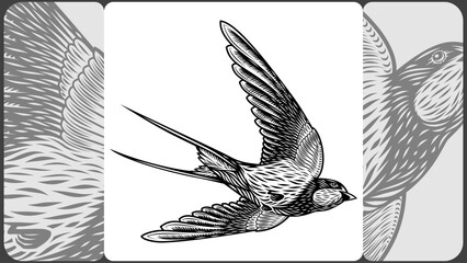 Swallow in the retro style of black and white engraved hatching. Illustration of a bird in flight flapping its spread wings for a vintage tattoo or print design. Hand drawn vector art, no trace, no AI