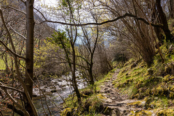Fototapeta na wymiar Nature's Serenade: Captivating Beauty of a Mountain River in Cantabria, a Tranquil Escape