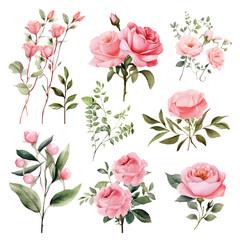 Watercolor design elements of pink roses flowers, leaves, eucalyptus, branches set for wedding stationary, invitation card, greeting, wallpaper, fashion, isolated on transparent. generative ai