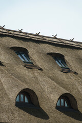 Thatched roof windows