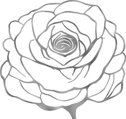 Silver Rose Flower Close-Up Line Drawing Silhouette