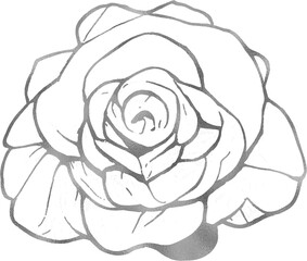 Silver Rose Flower Close-Up Line Drawing Silhouette