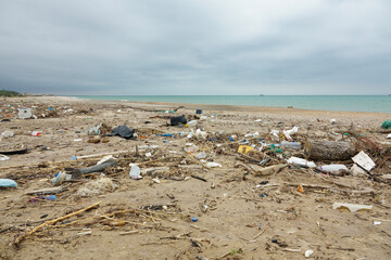 Plastic and other garbage on the coast