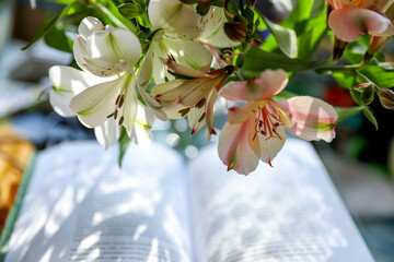 Colorful Alstroemeria flowers in warm sunlight with an open book with floral shadows on background, floral wallpaper